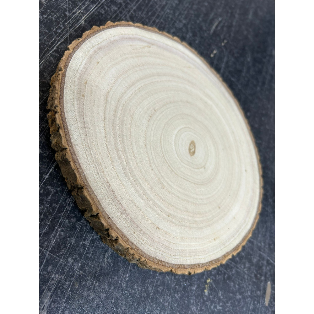 Dischetti di legno diametro 20 X 22  spessore 2 cm con corteccia 1 pezzo tronco base disco