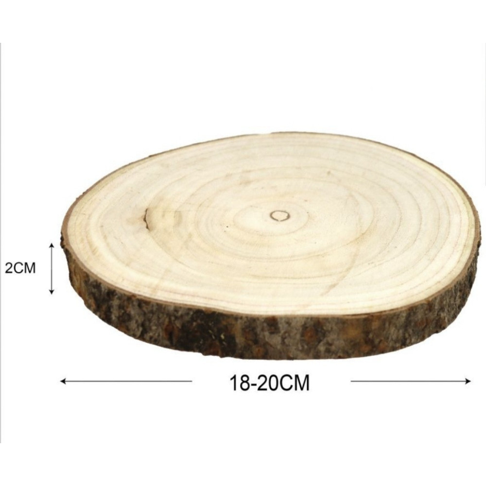 Dischetti di legno diametro 18 x 20 spessore 2 cm con corteccia 1 pezzo tronco base disco Dischetti di legno diametro 18 x 20 spessore 2 cm con corteccia 1 pezzo tronco base disco