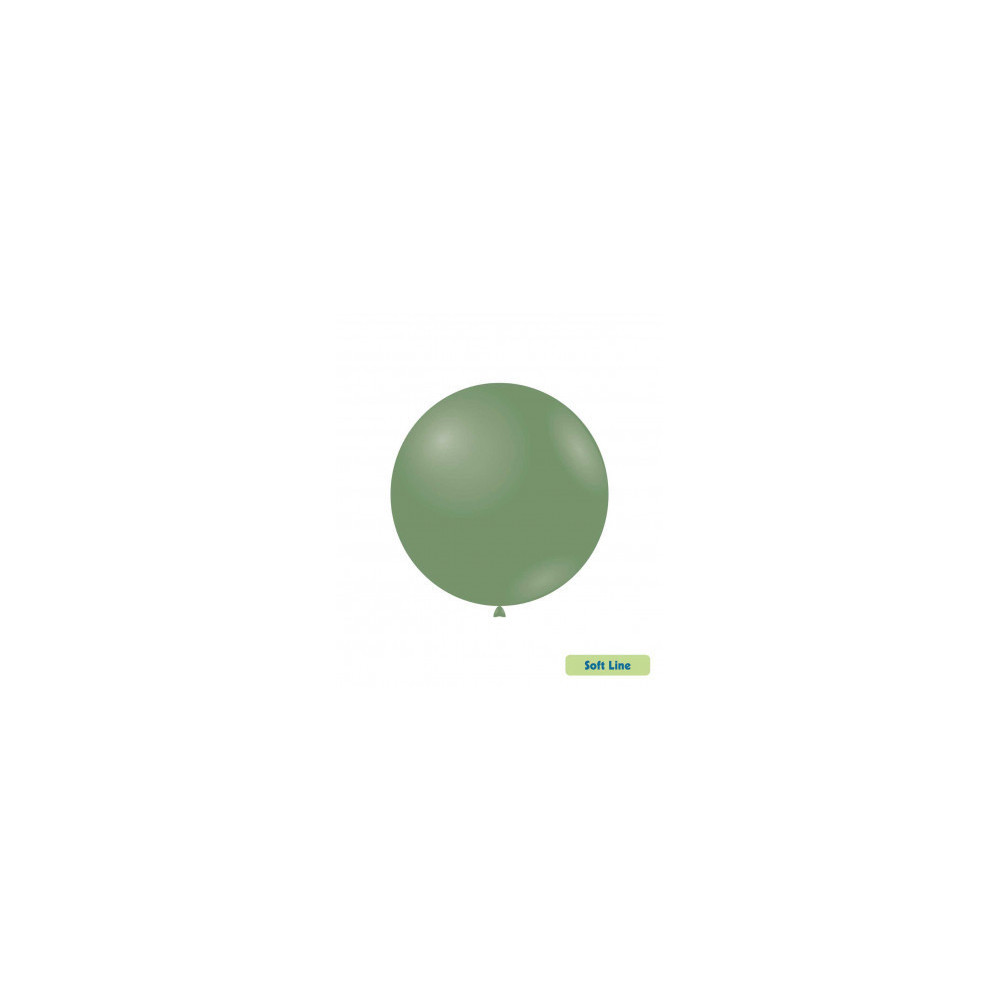 Palloncini Soft Line Pastello 18" - 46 cm Verde Eucalipto 142 20 pezzi Rocca Fun Factory Palloncini Soft Line Pastello 18" - 46 cm Verde Eucalipto 142 20 pezzi Rocca Fun Factory