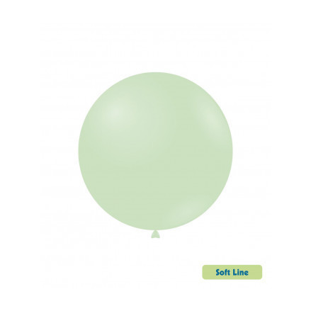 Palloncini Soft Line Pastello 18" - 46 cm Menta Vintage 152 20 pezzi Rocca Fun Factory