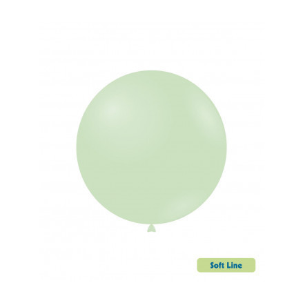 Palloncini Soft Line Pastello 18" - 46 cm Menta...