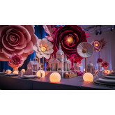 Accessori Allestimento